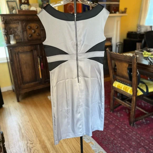 Gray and Black Sleeveless Dress - Picture 2 of 4